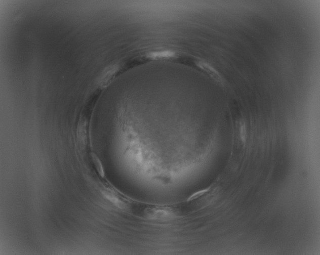 X0000053050475200507111131