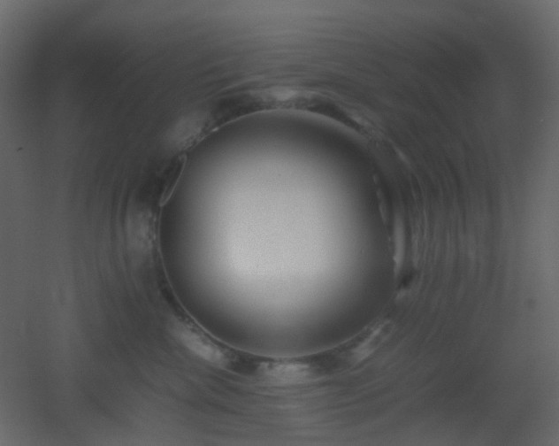 X0000053050476200507111131