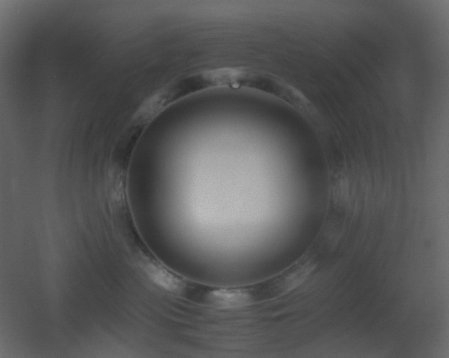 X0000053050477200507111131