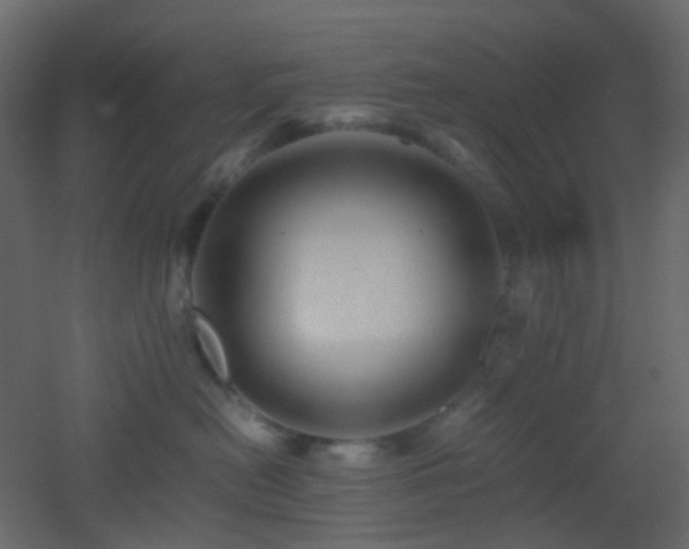 X0000053050478200507111131