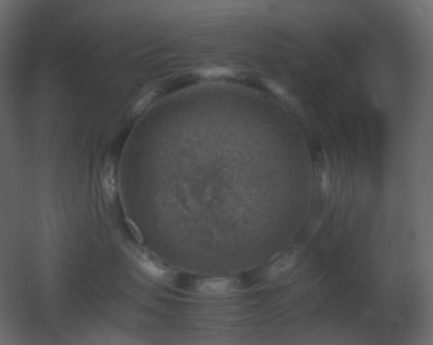 X0000053050479200507111131
