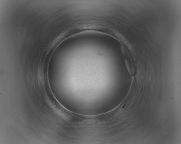 X0000053050482200507111130