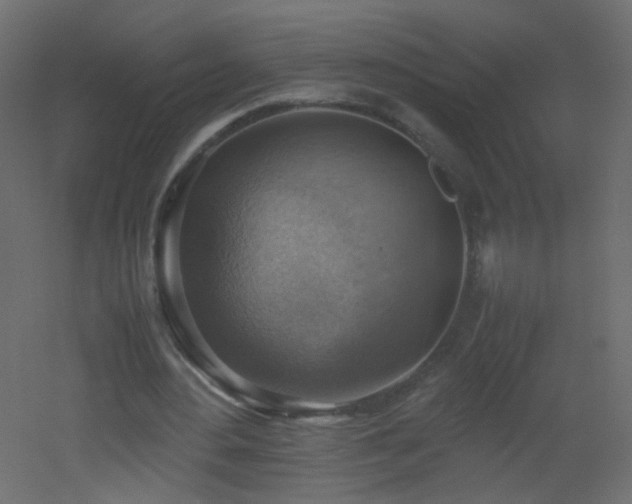 X0000053050484200507111130
