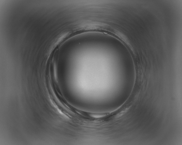 X0000053050485200507111130