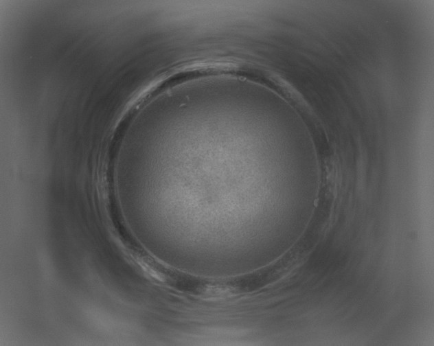 X0000053050487200507111130