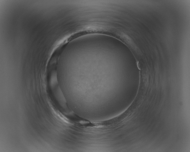 X0000053050488200507111130