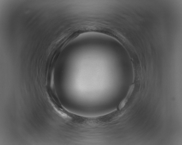 X0000053050489200507111130