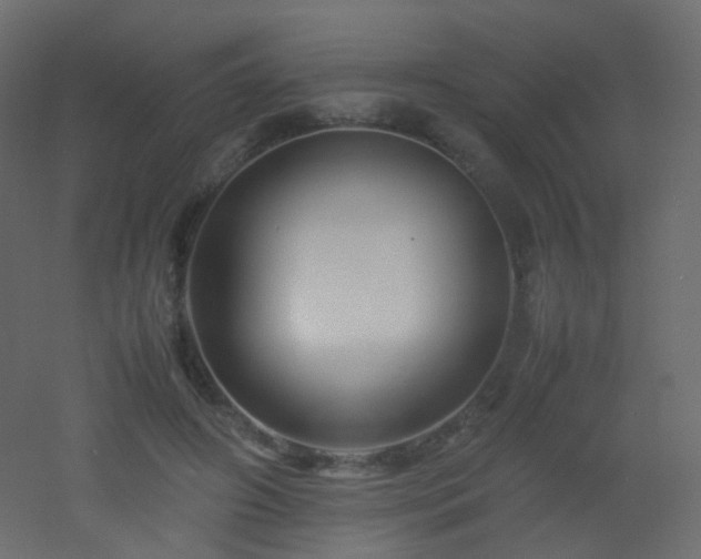 X0000053050498200507111130