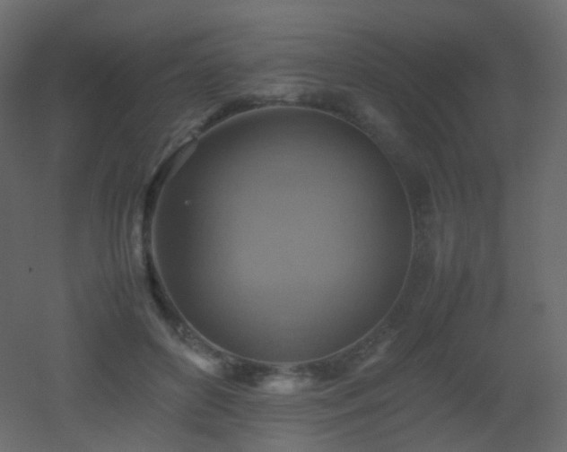 X0000053050504200507111129