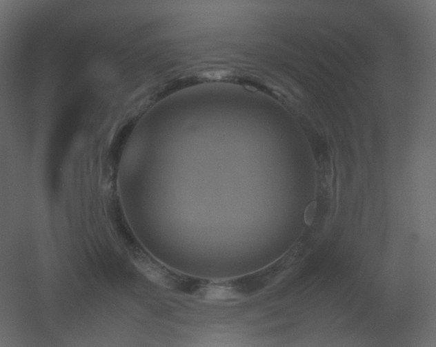 X0000053050507200507111129