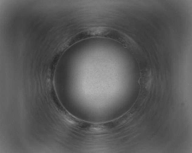 X0000053050510200507111129
