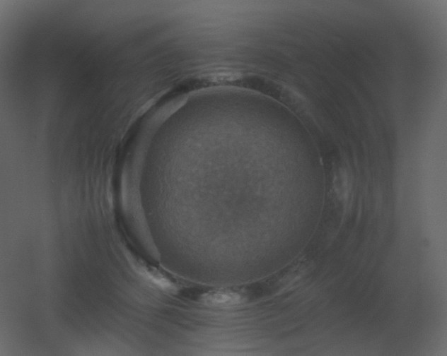 X0000053050512200507111129