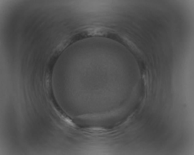 X0000053050513200507111129