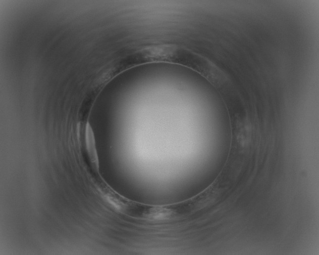 X0000053050514200507111129