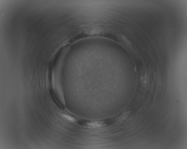 X0000053050516200507111129