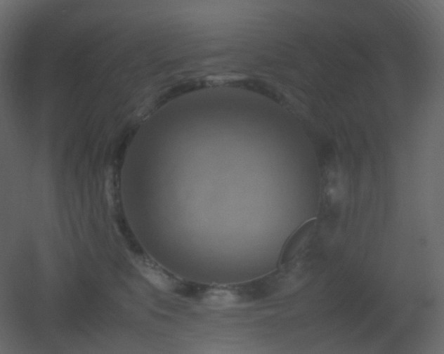 X0000053050519200507111129