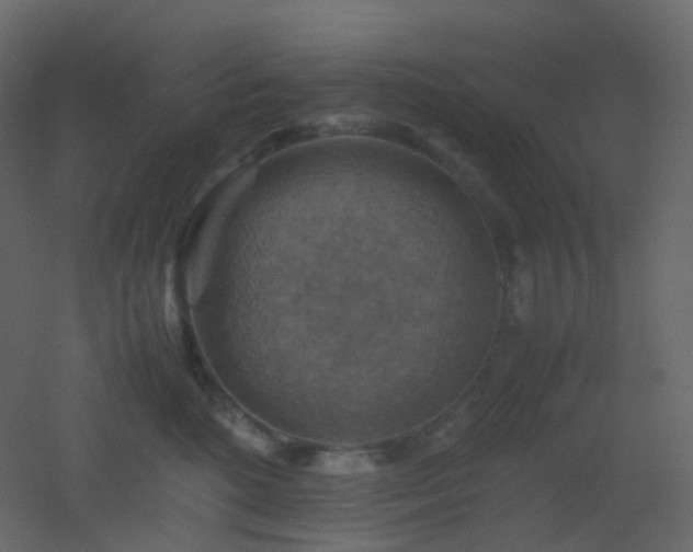 X0000053050520200507111129