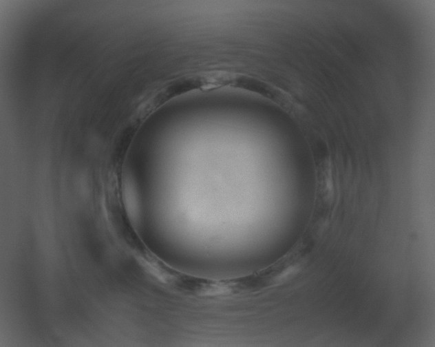 X0000053050523200507111129