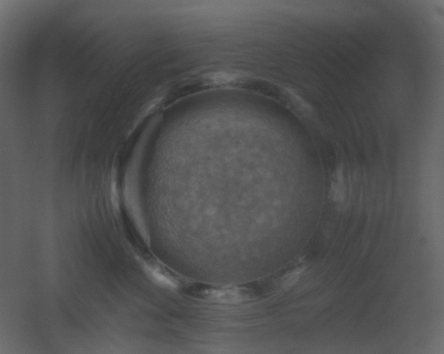 X0000053050524200507111129