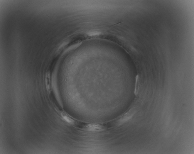 X0000053050528200507111129