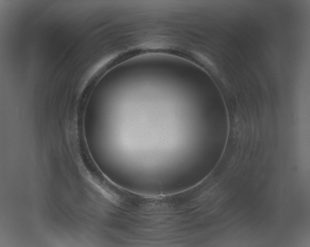 X0000053050535200507111128