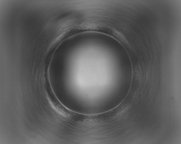 X0000053050538200507111128