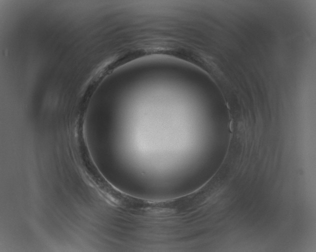 X0000053050539200507111128