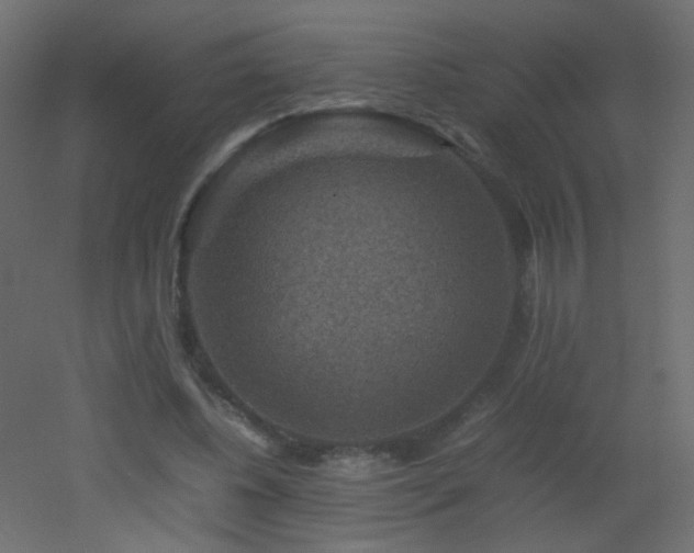 X0000053050540200507111128