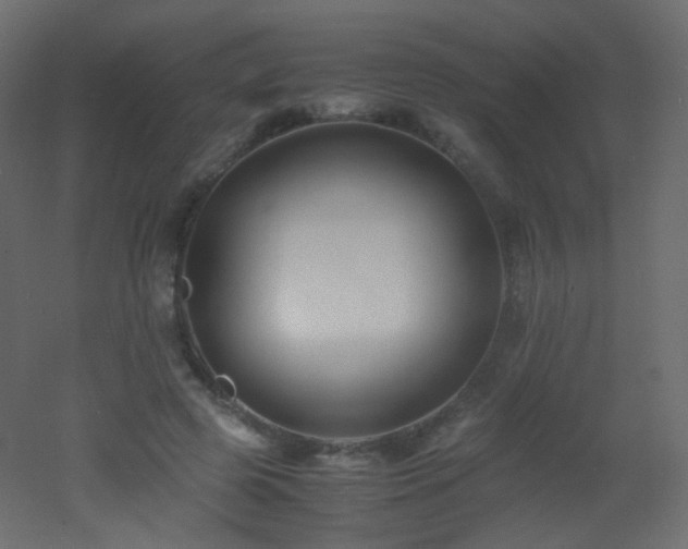X0000053050545200507111129