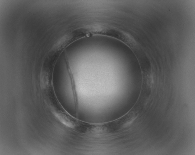 X0000053050546200507111129