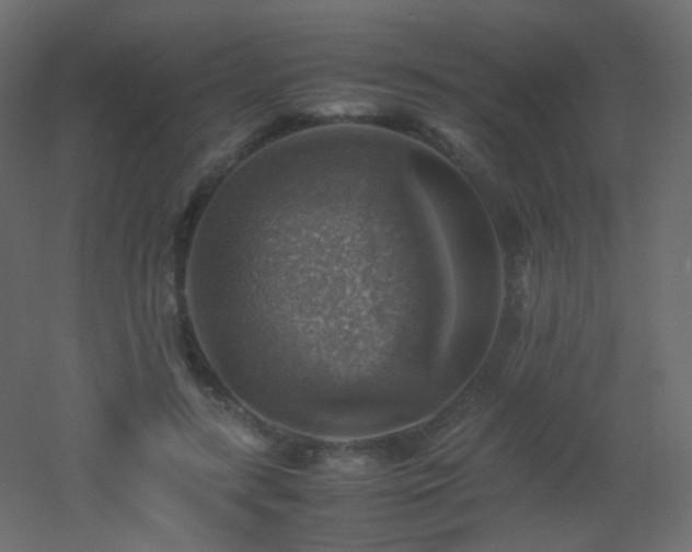 X0000053050547200507111129