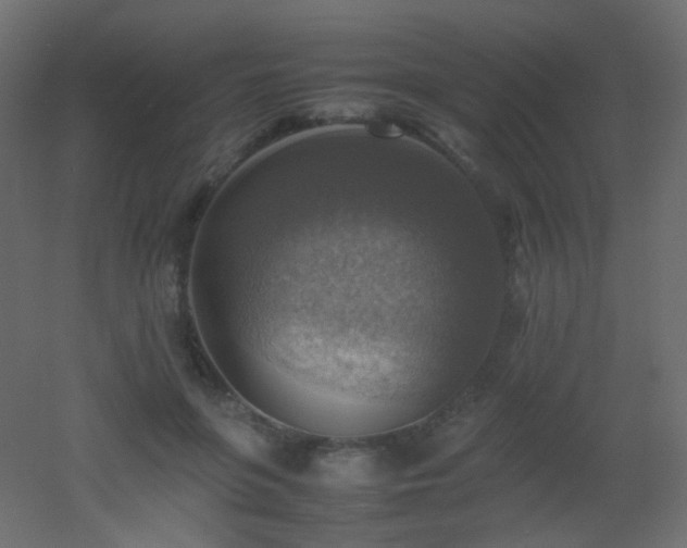 X0000053050551200507111129