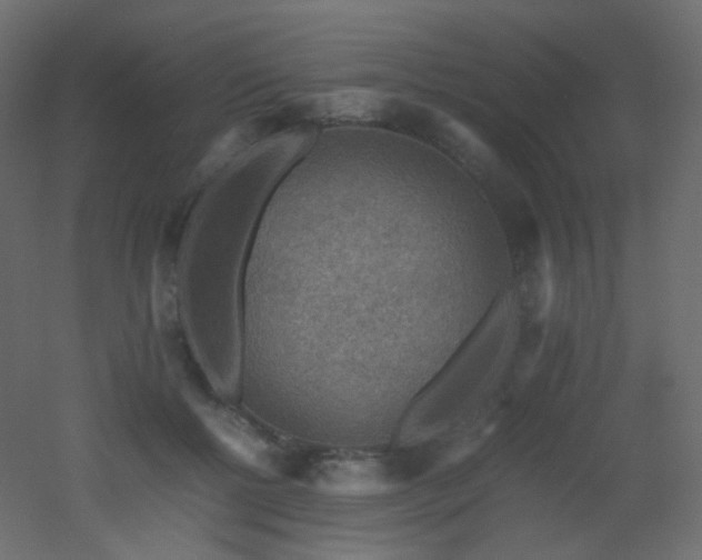 X0000053050552200507111129