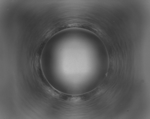 X0000053050554200507111129