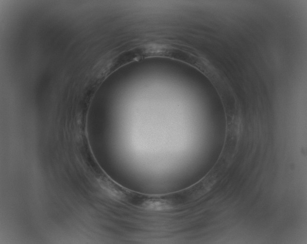 X0000053050557200507111129