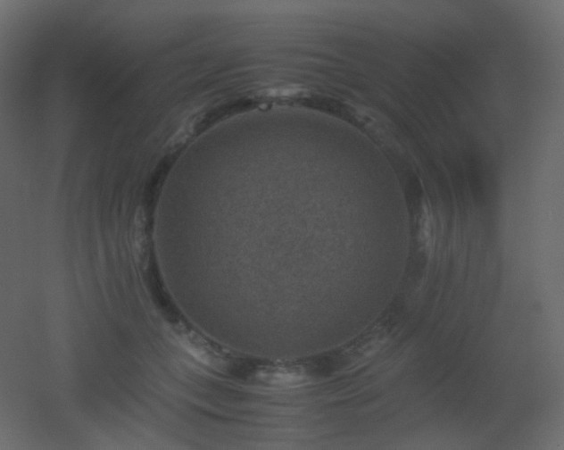 X0000053050559200507111129