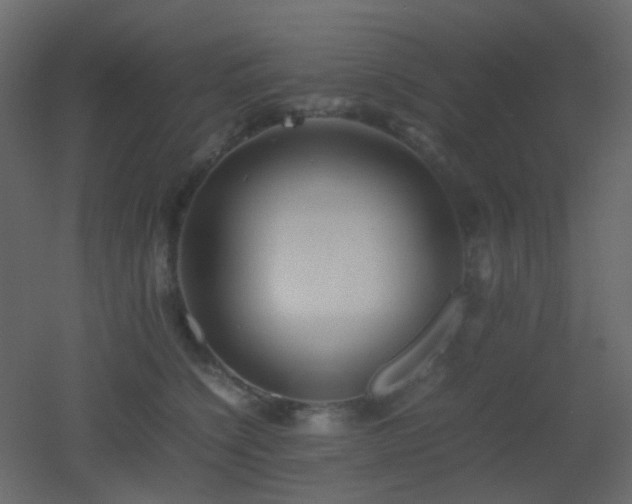 X0000053050564200507111129