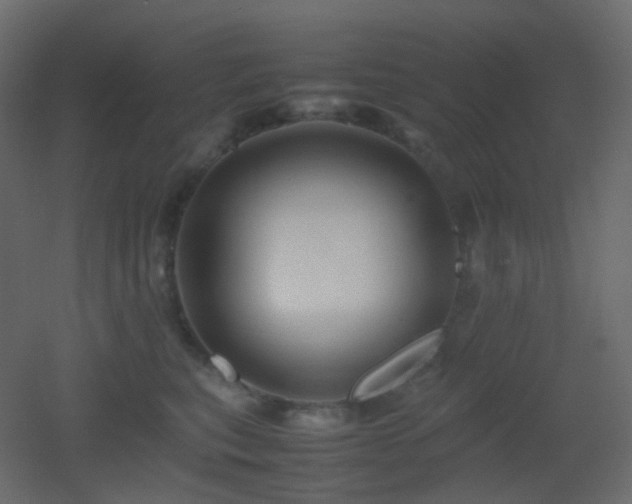 X0000053050567200507111129