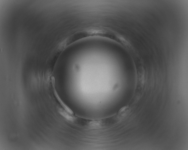 X0000053050574200507111129