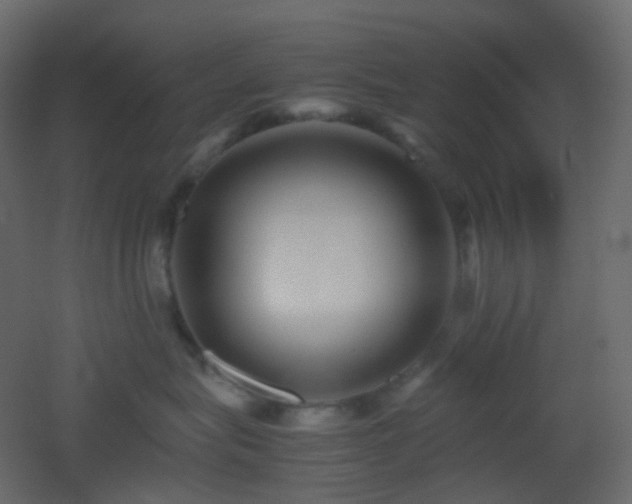 X0000053050575200507111129