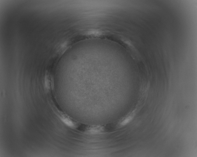 X0000053050576200507111129