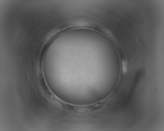 X0000053050579200507111128