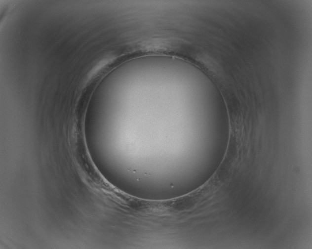 X0000053050583200507111128