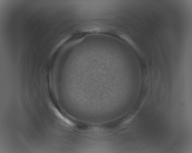 X0000053050585200507111128