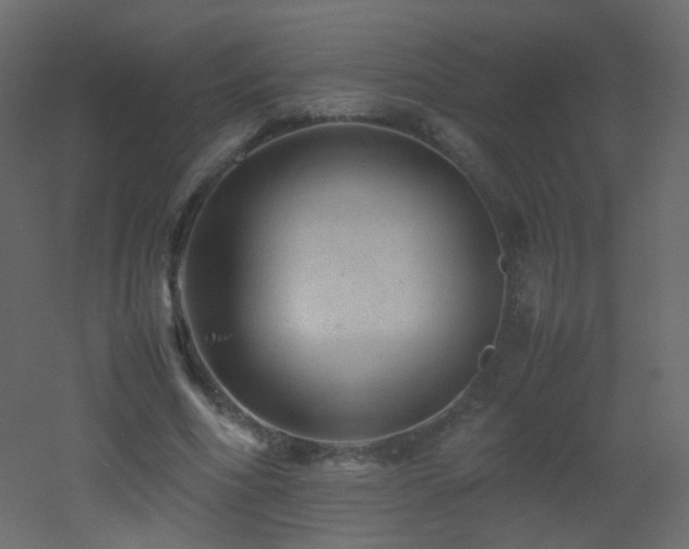 X0000053050586200507111128