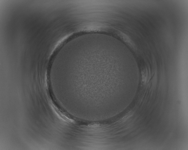 X0000053050588200507111128