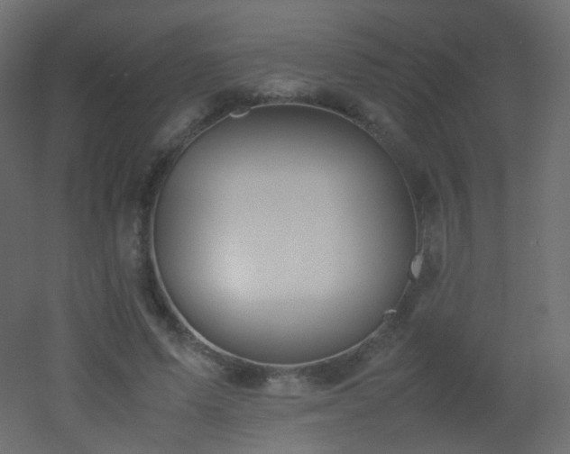 X0000053050591200507111128