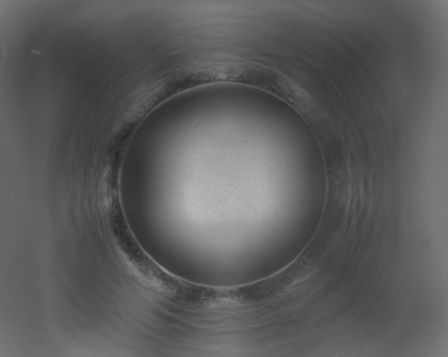 X0000053050594200507111128