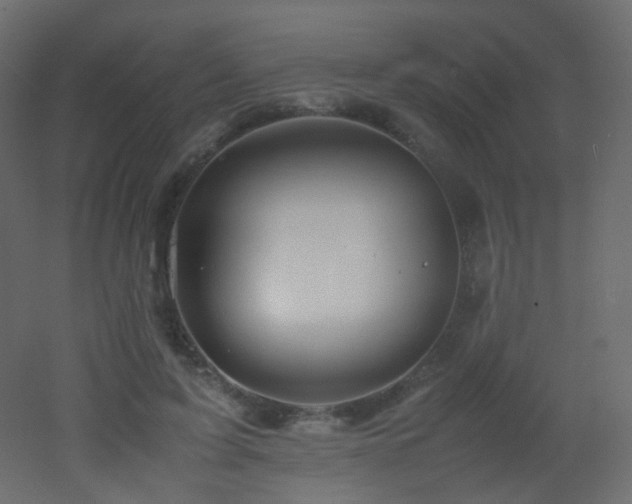 X0000053050595200507111128