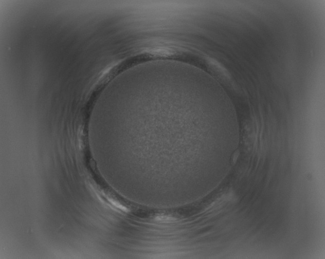 X0000053050596200507111128